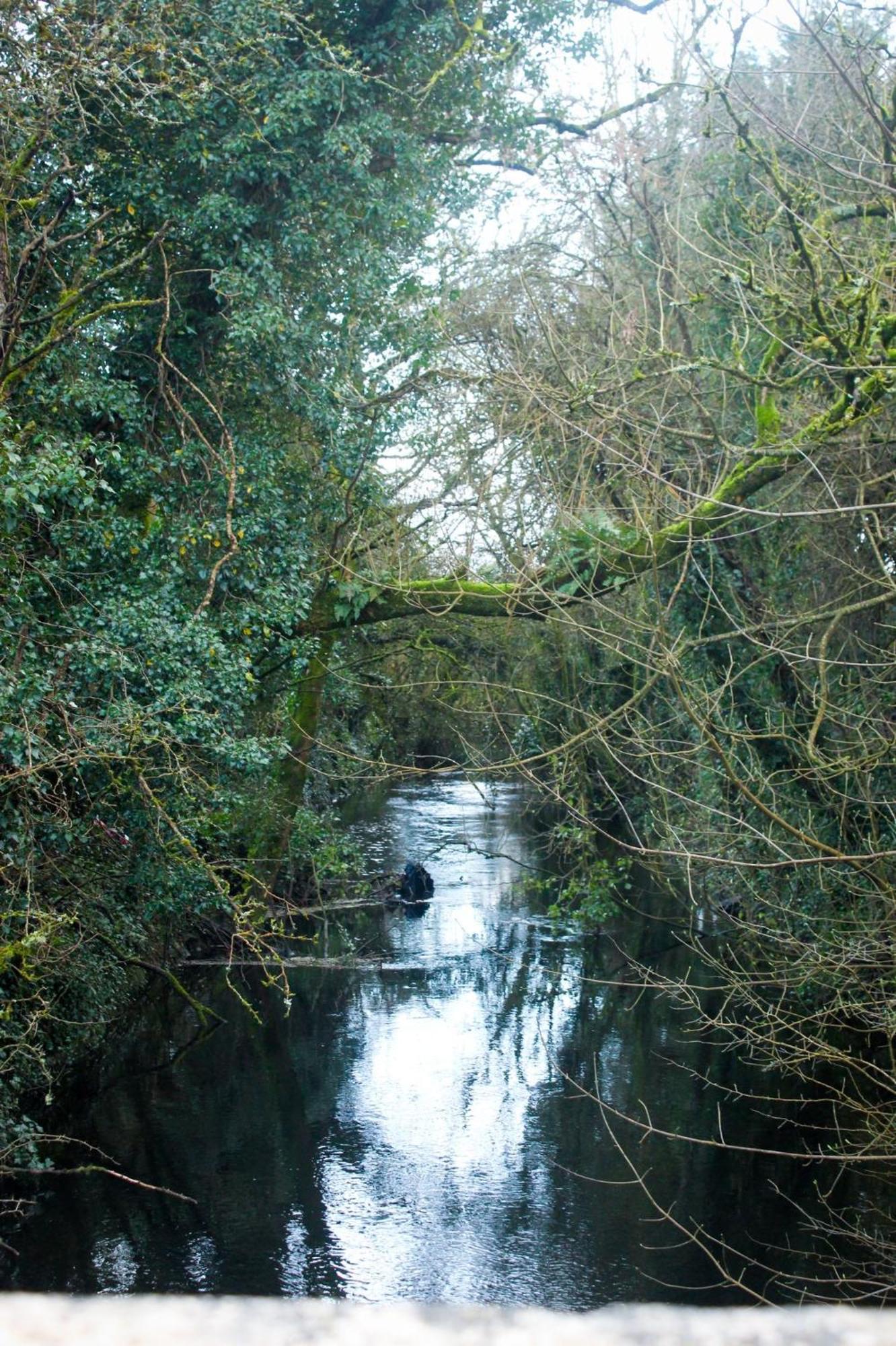 Riverside Cottage In The Burren Corofin  Exteriör bild
